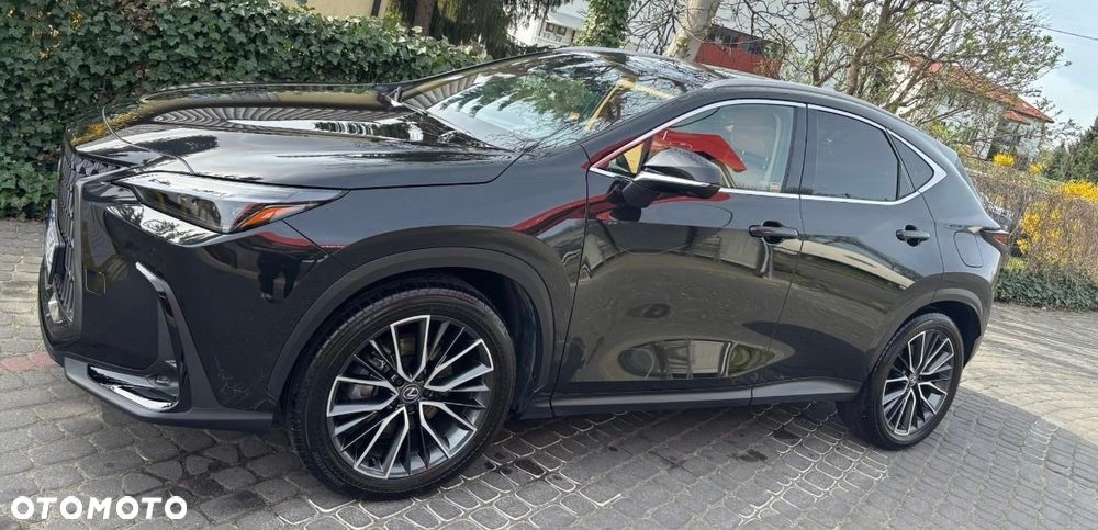 Lexus NX 350h Omotenashi AWD - 3