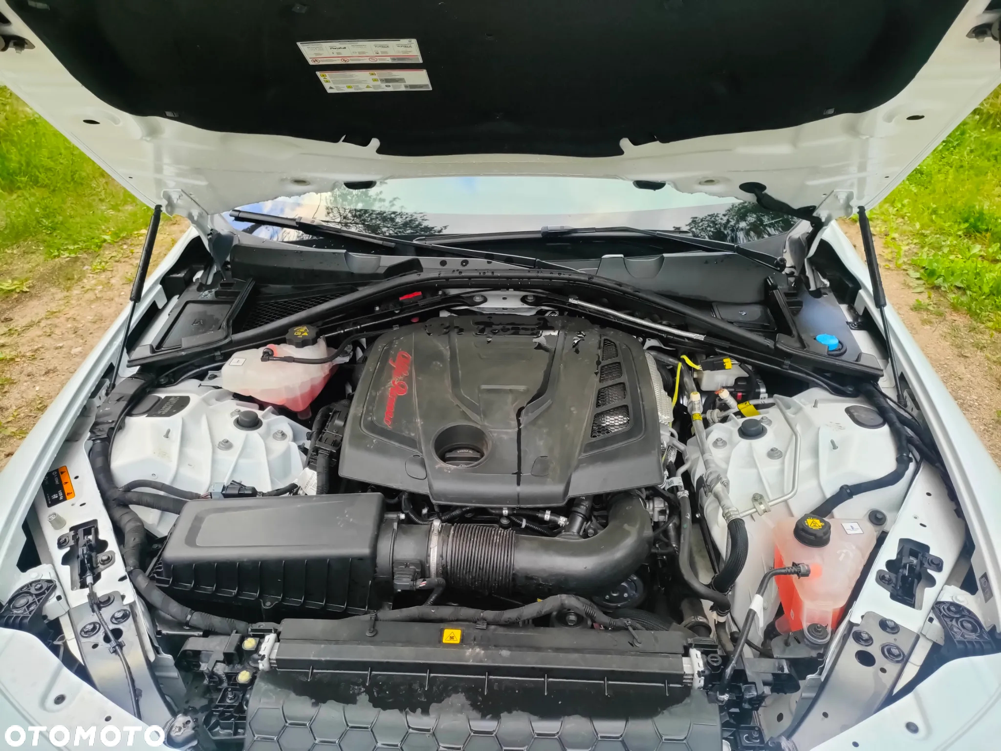 Alfa Romeo Giulia 2.0 Turbo TI Q4 - 23