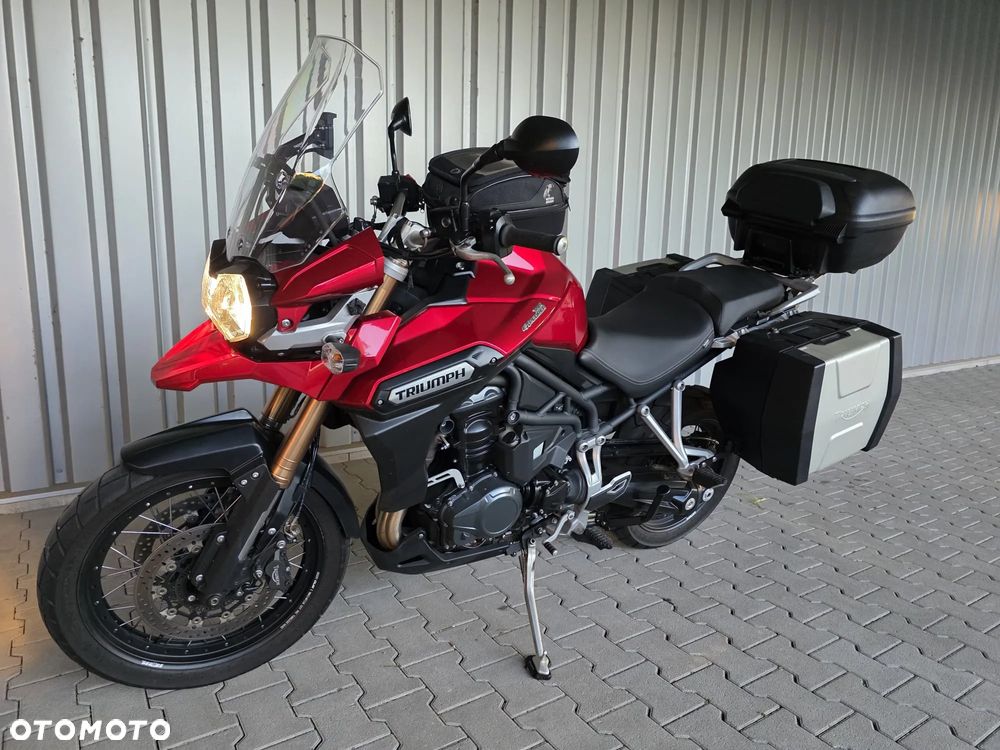 Triumph Tiger - 13