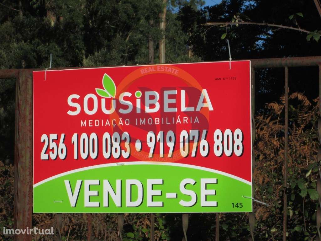 Terreno construção São Vicente Pereira Jusã - Grande imagem: 3/3