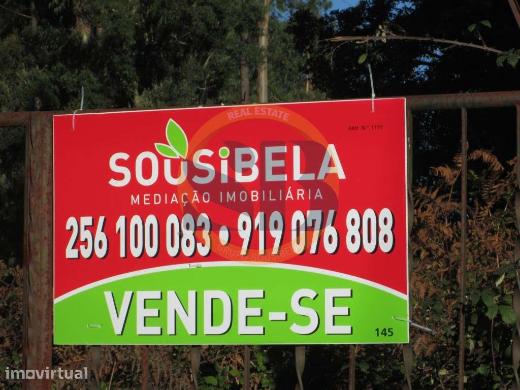 Terreno construção São Vicente Pereira Jusã - Grande imagem: 3/3