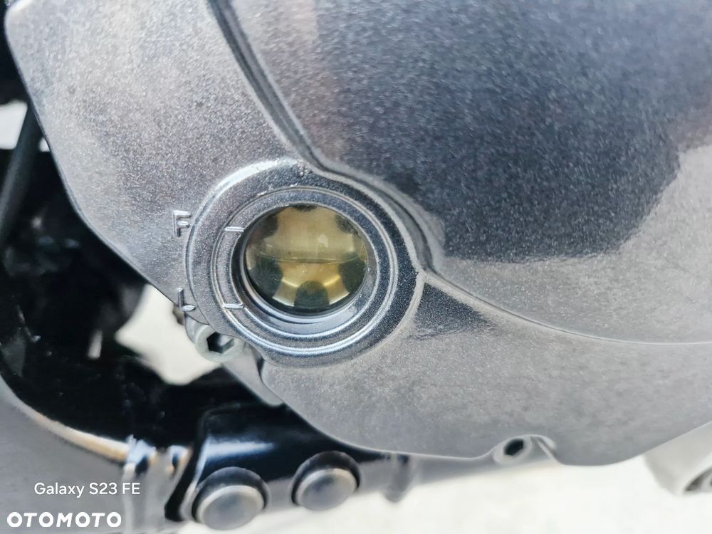 Suzuki Bandit - 31