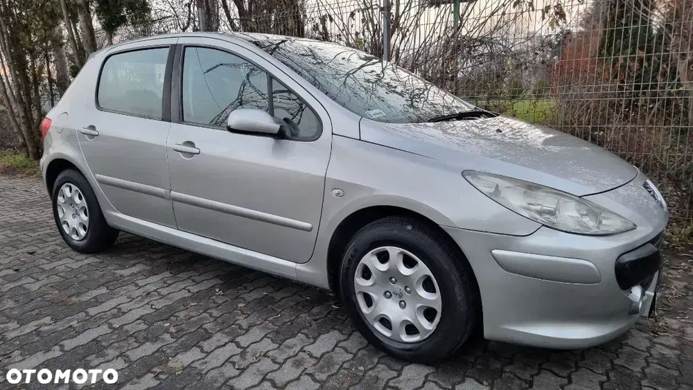 Peugeot 307 1.4 Presence - 13