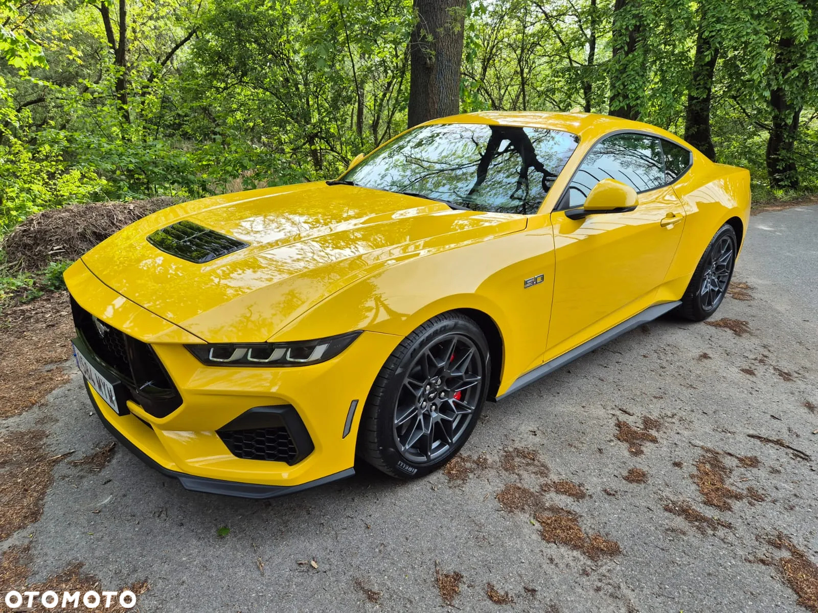 Ford Mustang Fastback 5.0 Ti-VCT V8 GT - 34