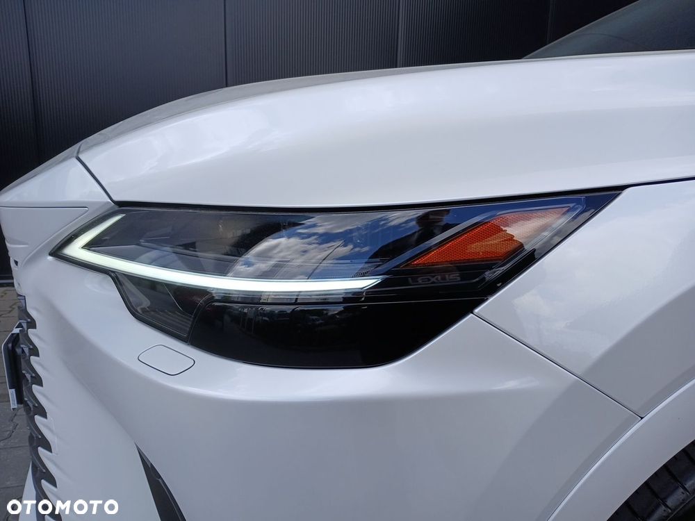 Lexus RX - 27