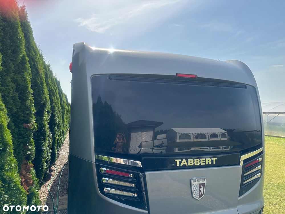 Tabbert Puccini - 2