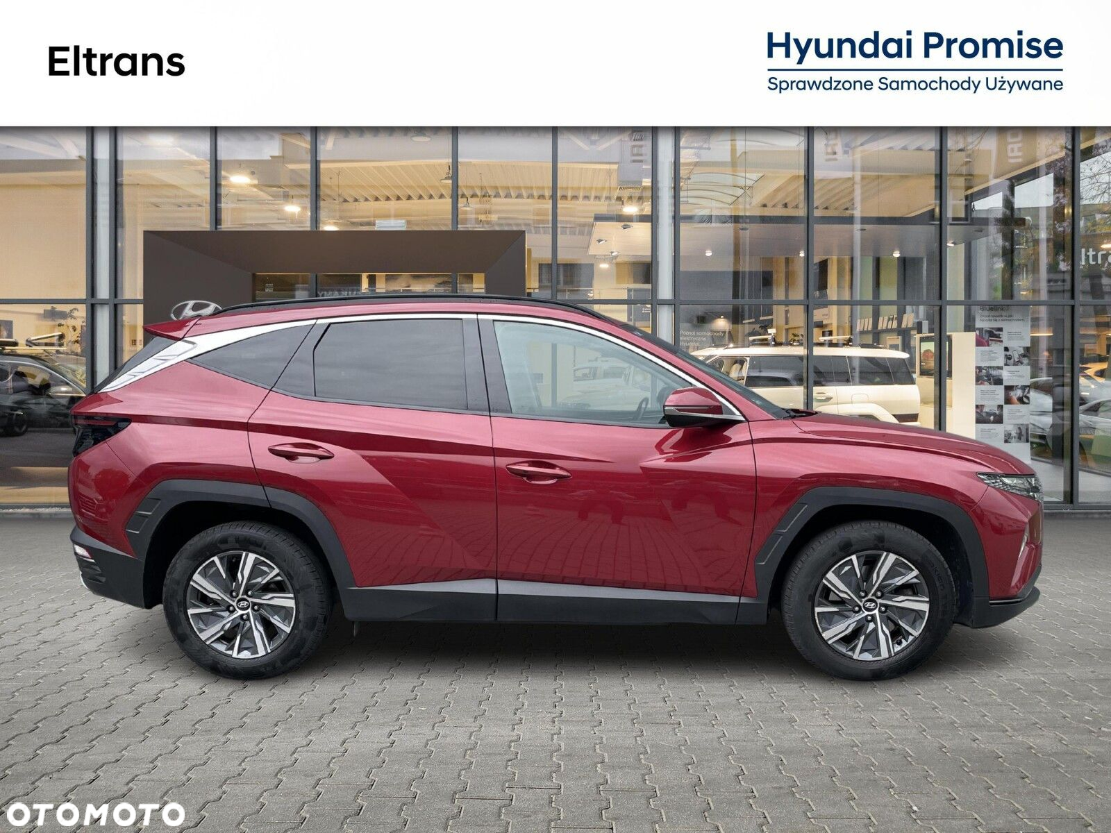 Hyundai Tucson 1.6 T-GDi HEV Executive 2WD - 7