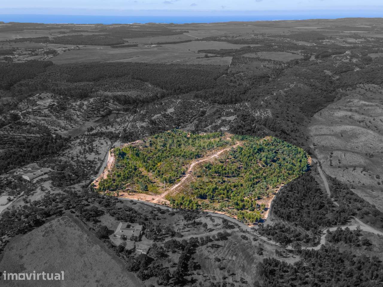 Terreno, 75 000 m², Boavista dos Pinheiros - Grande imagem: 5/11