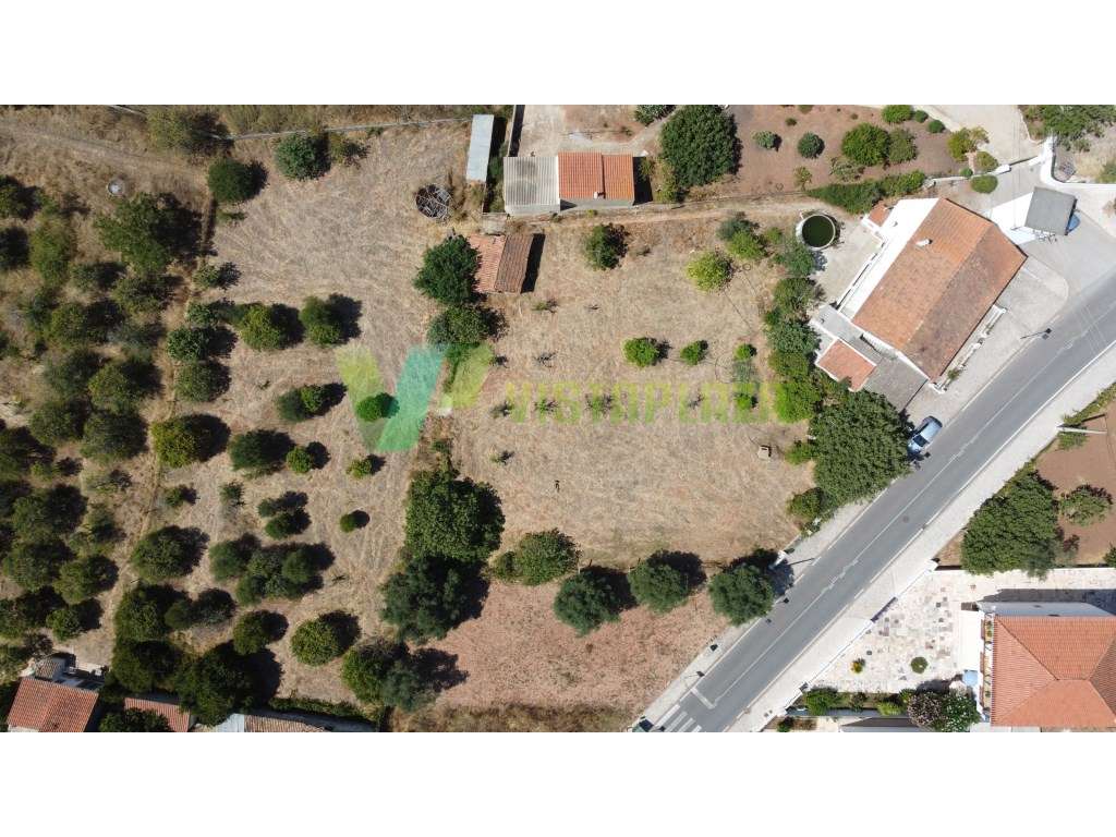 Casa M4 Isolada em Messines - Amorosa, Com Garagem - Grande imagem: 4/30