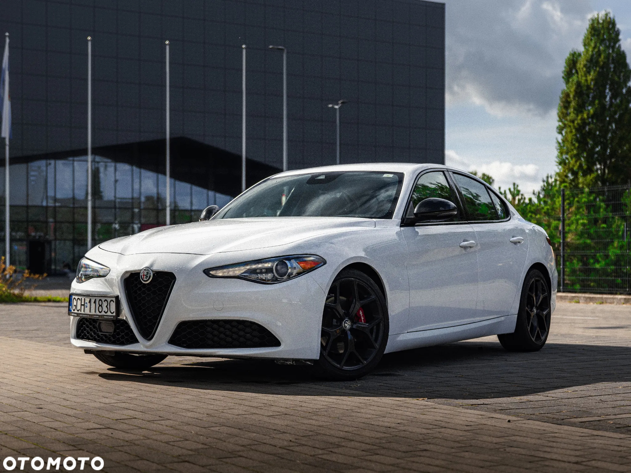 Alfa Romeo Giulia - 2
