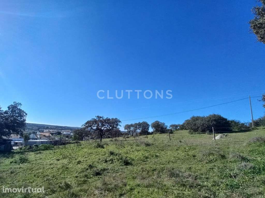 Terreno - Quinta, Investimento, 12 hectares e 844 m2 edificados, Évora - Grande imagem: 3/28