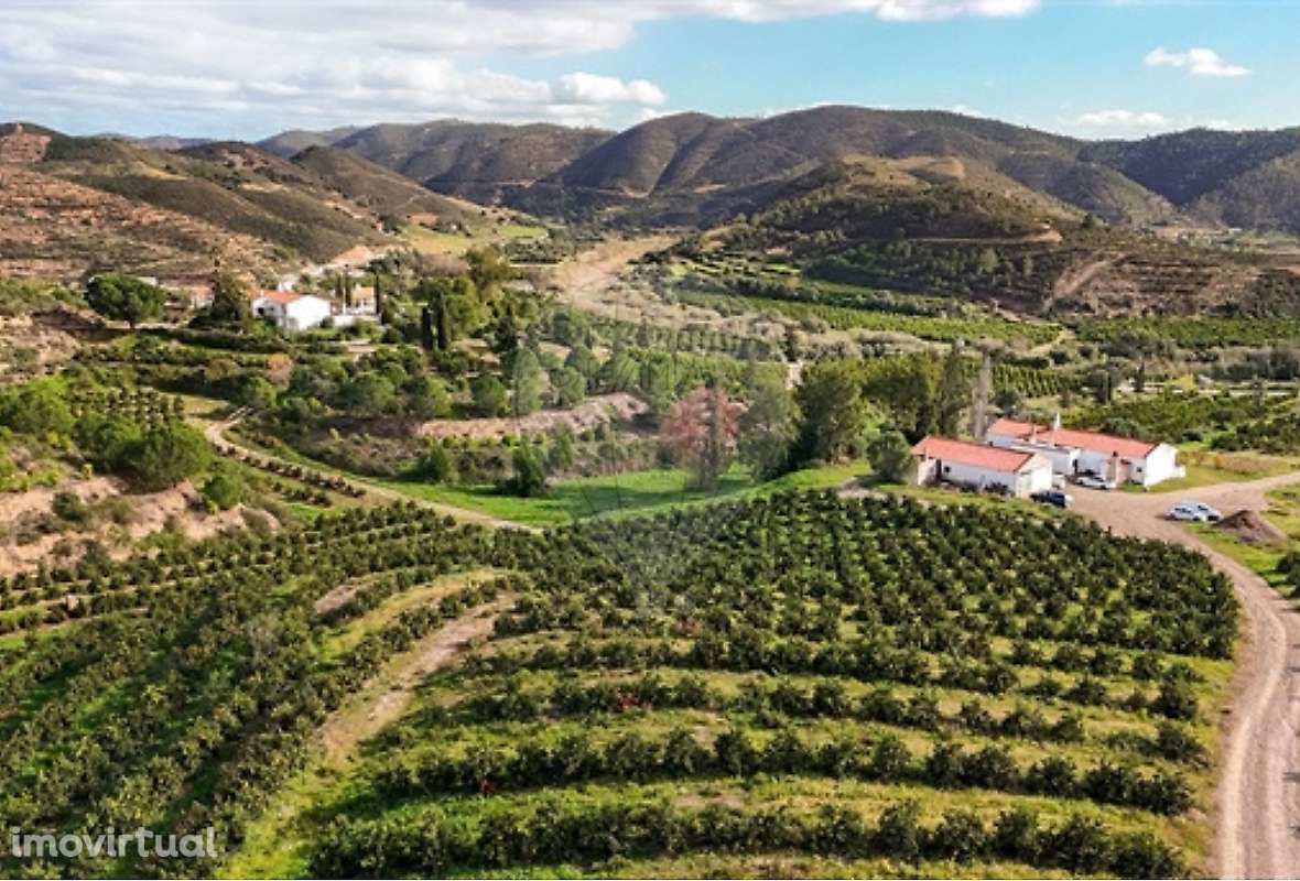 Quinta T13 para venda - Grande imagem: 3/15