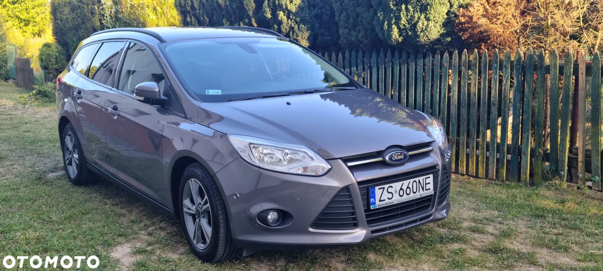 Ford Focus - 1