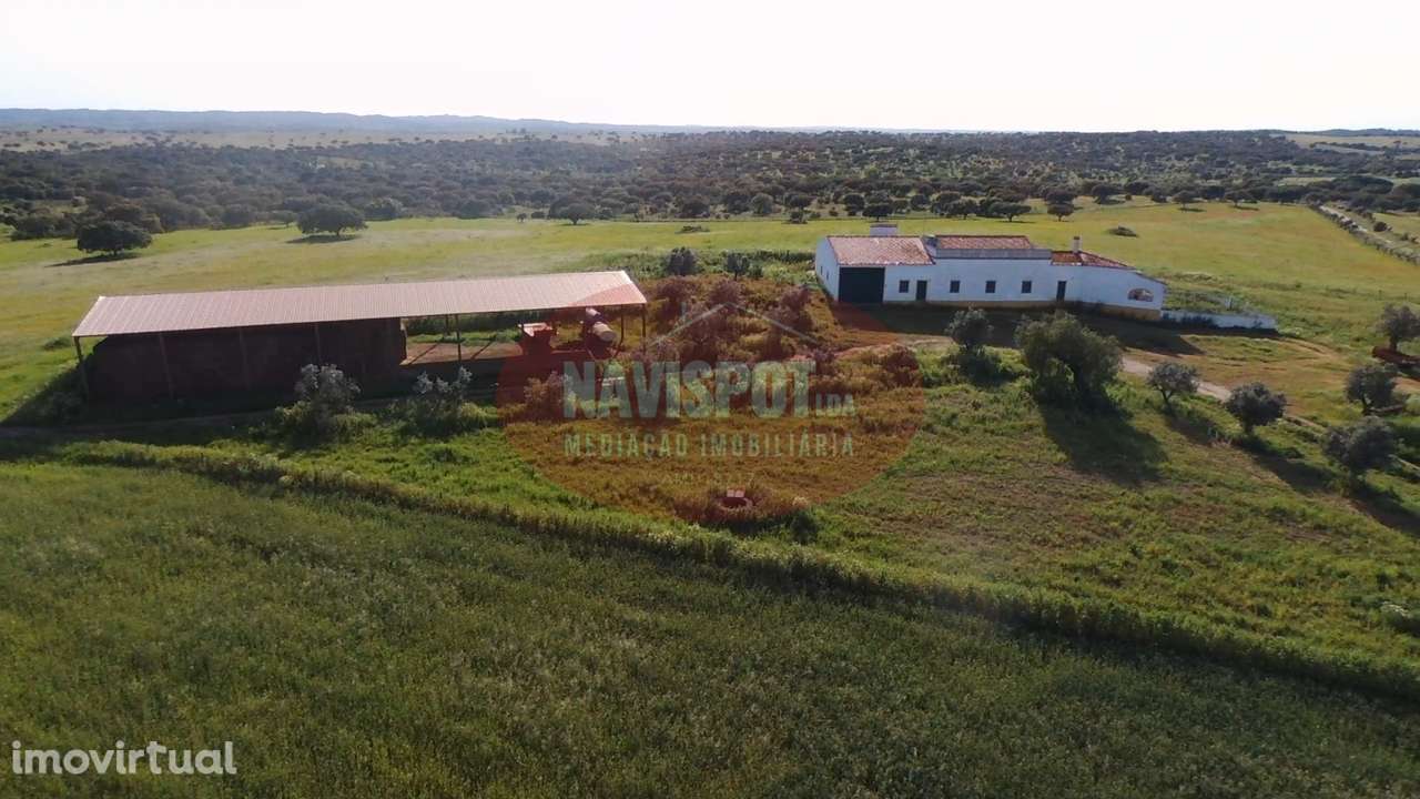 Herdade com 750 hectares no Alentejo - Grande imagem: 5/19