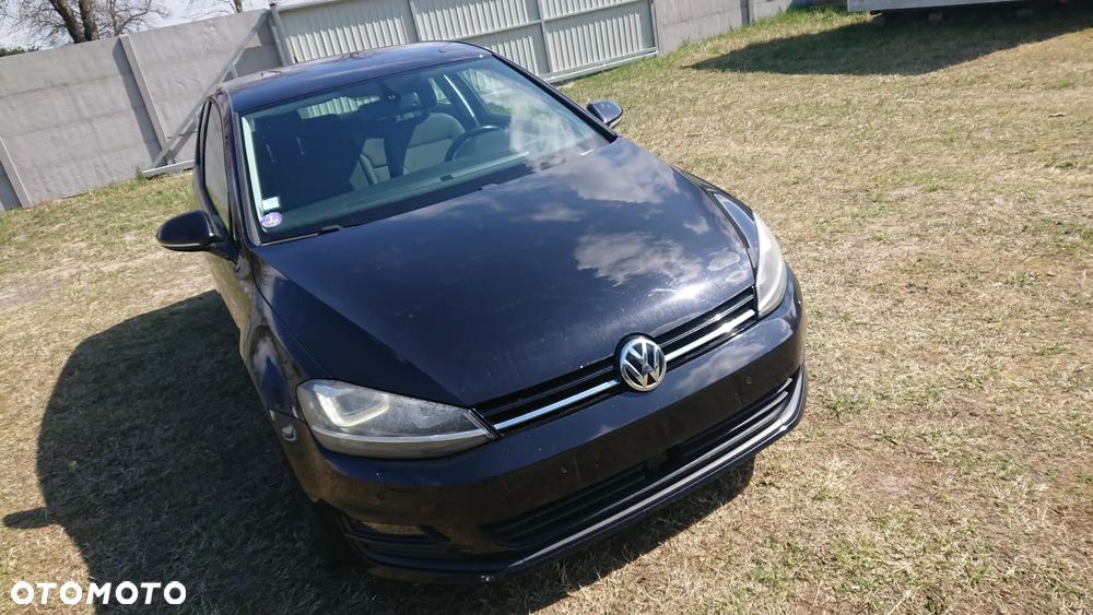 Volkswagen Golf - 22