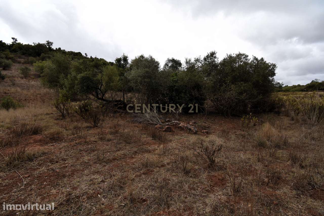 Terreno rústico com 4080 m2 em Vale Fuzeiros - Grande imagem: 5/18