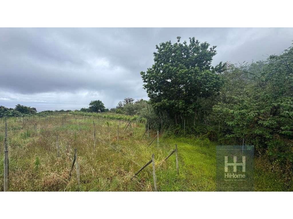 Terreno no Arco de São Jorge com 1.730 m2 | Caminho do Moinho - Grande imagem: 3/15