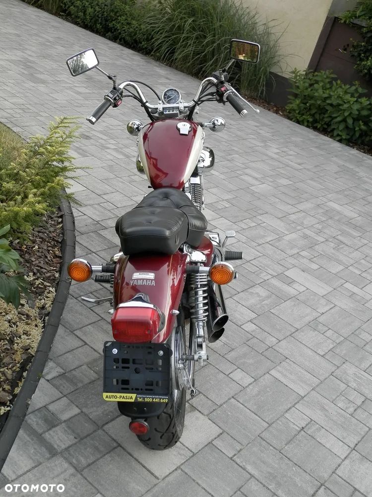Yamaha Virago - 4