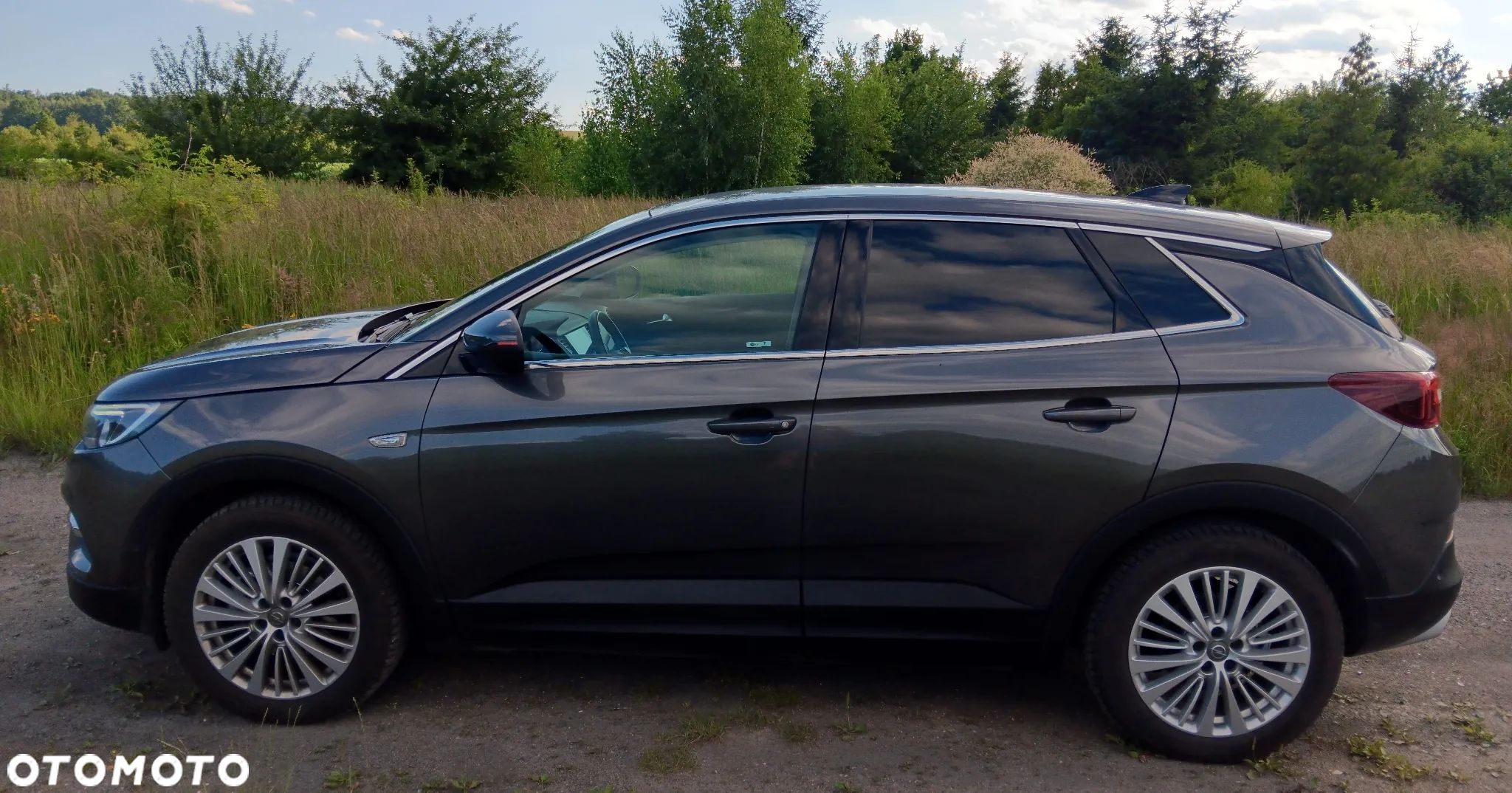 Opel Grandland X 1.2 T Elite S&S - 1