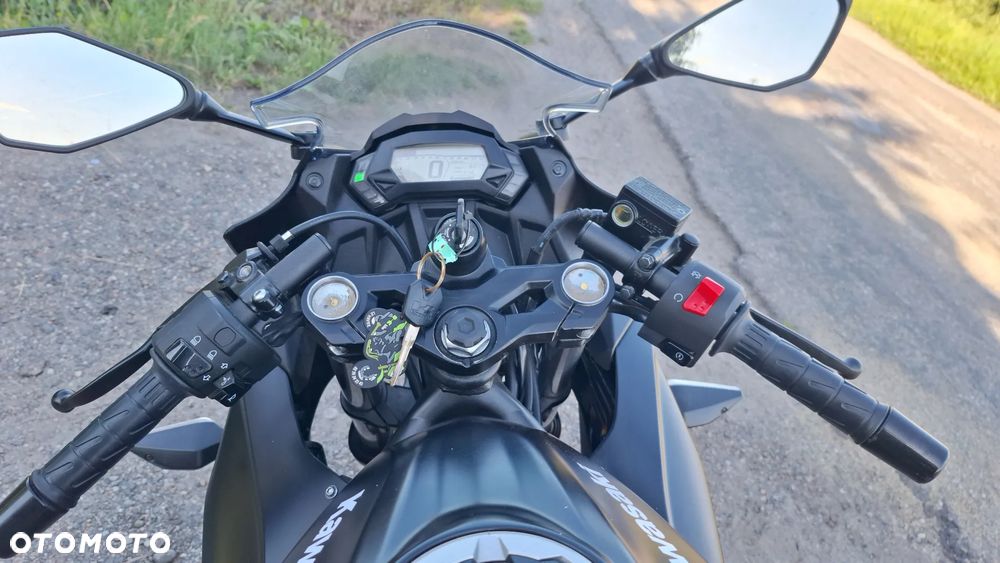Kawasaki Ninja - 14