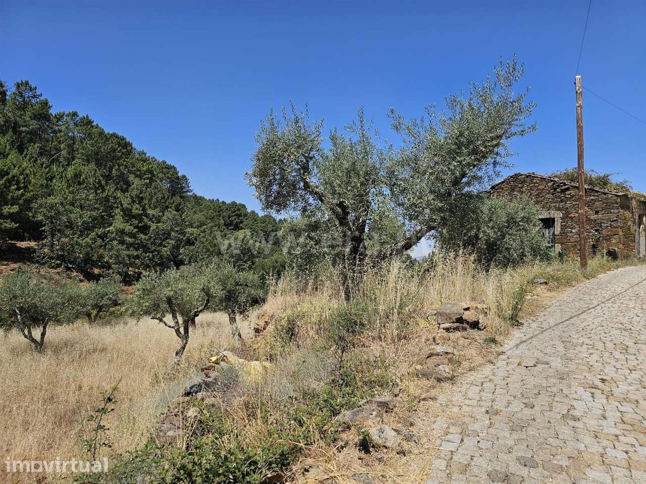 Terreno com ruina T1 / Fundão, Souto da Casa - Grande imagem: 2/11
