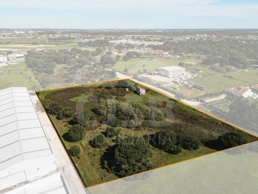 Magnífico terreno com 10.590 m² em Benavente - Grande imagem: 4/11
