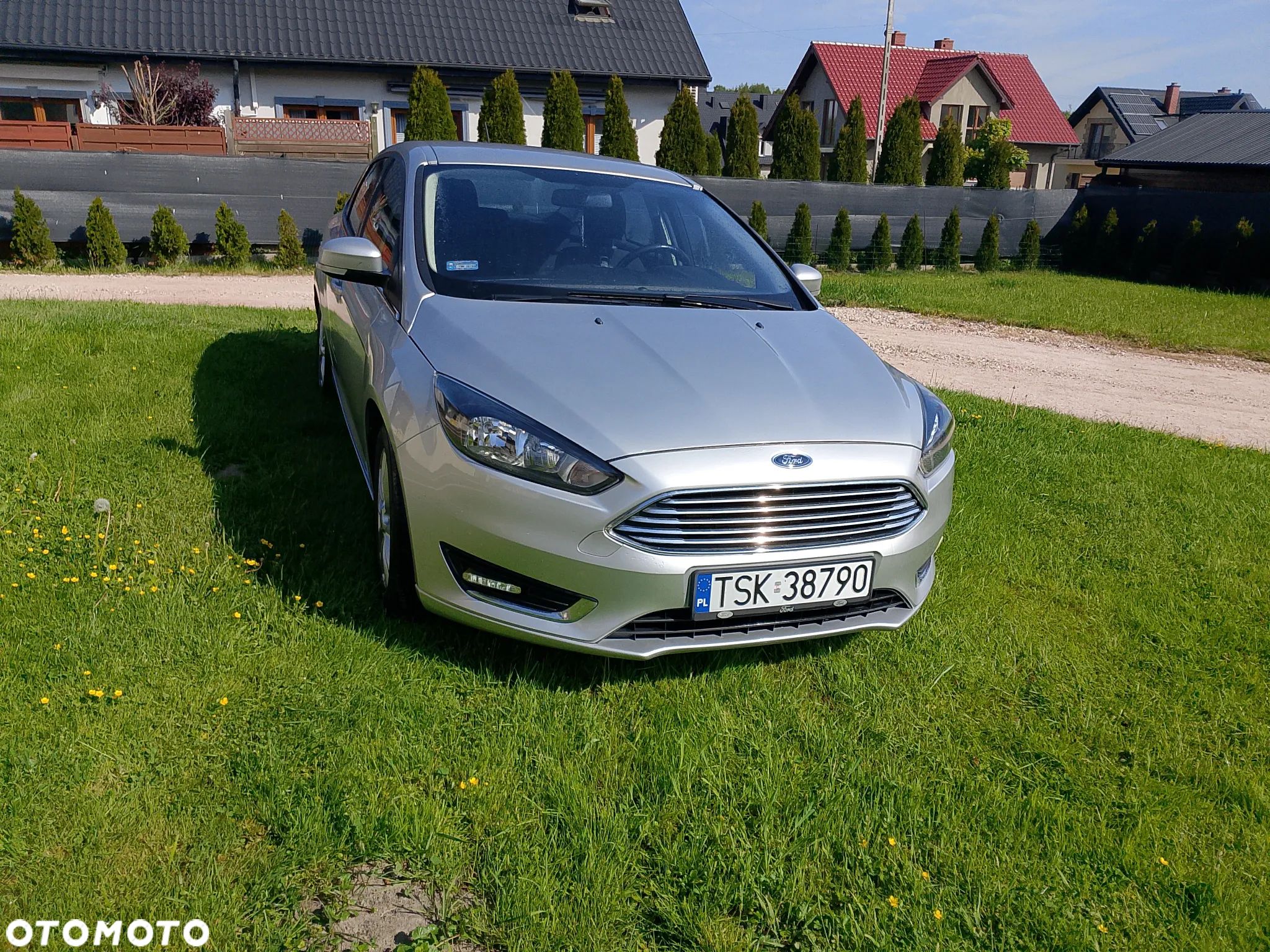 Ford Focus - 1