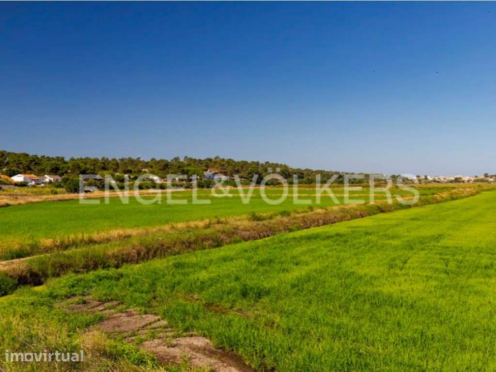 Lote para construção na Aldeia do Carvalhal - Grande imagem: 4/6
