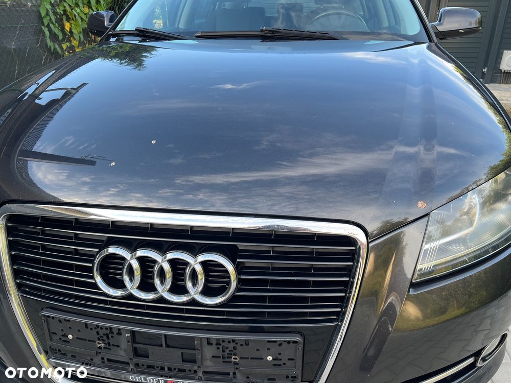 Audi A3 Sportback 1.6 Ambiente - 7