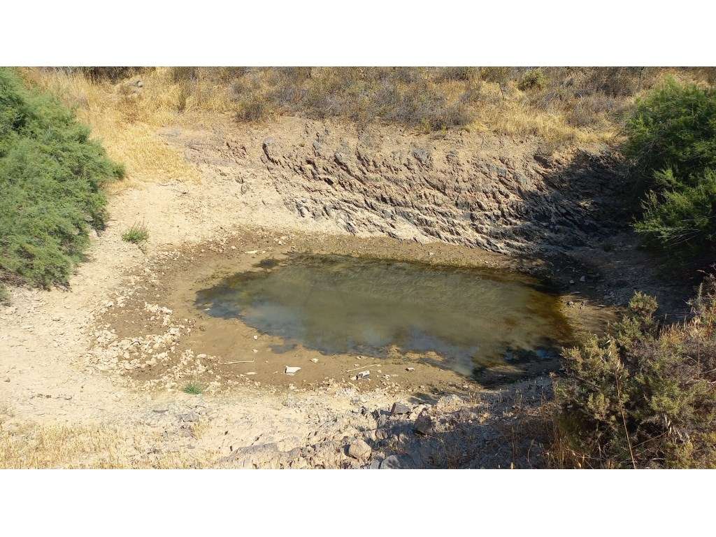 Herdade no Alentejo - Grande imagem: 4/30