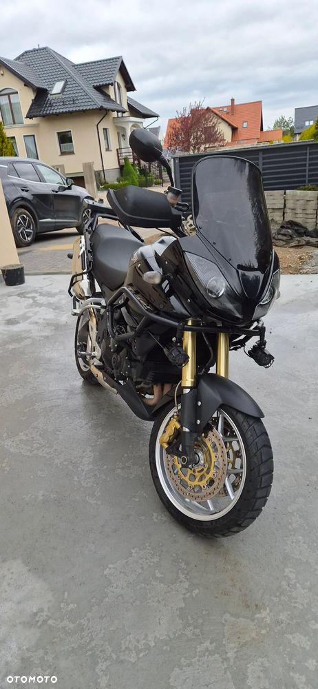 Triumph Tiger - 19
