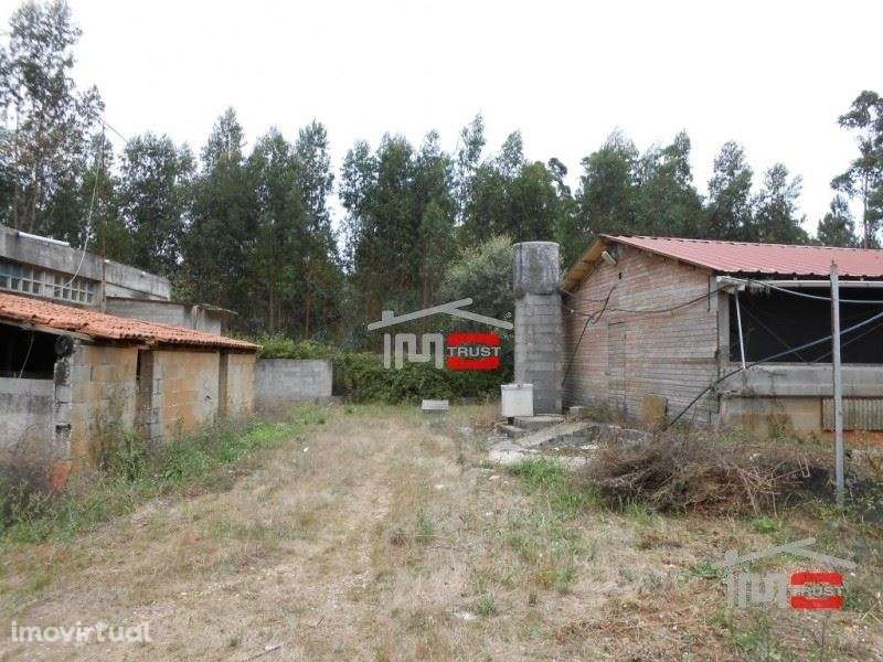 Quintinha - Grande imagem: 5/23