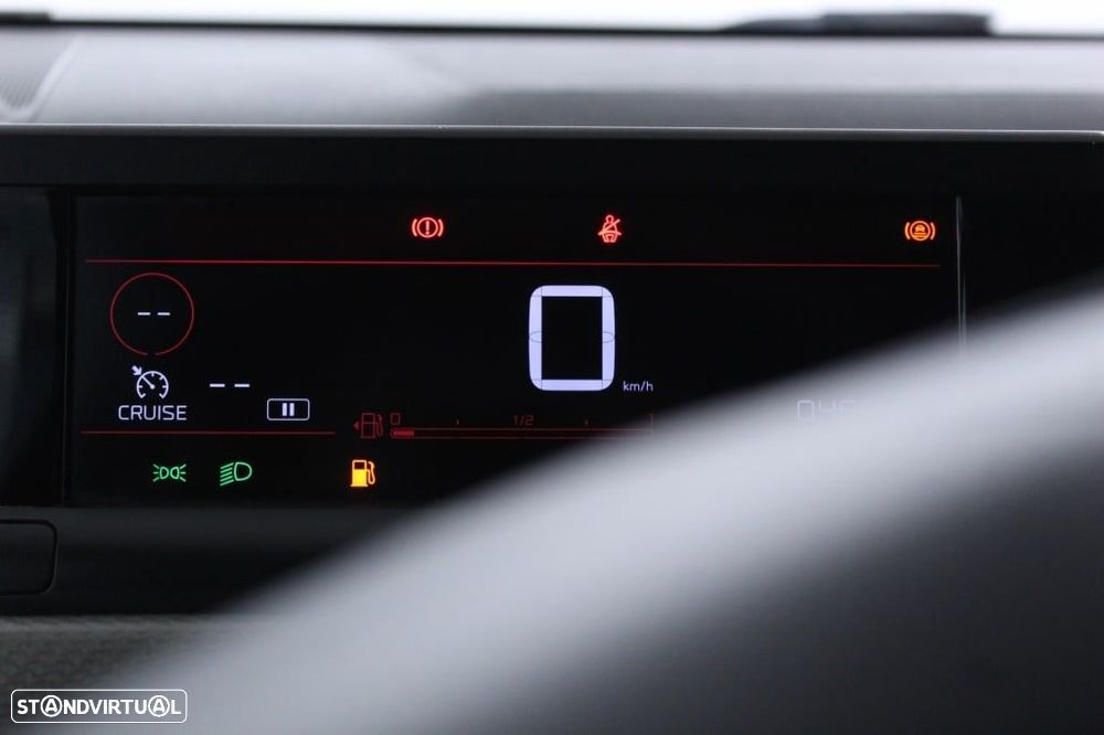 Citroën C4 Cactus 1.5 BlueHDi Shine - 25