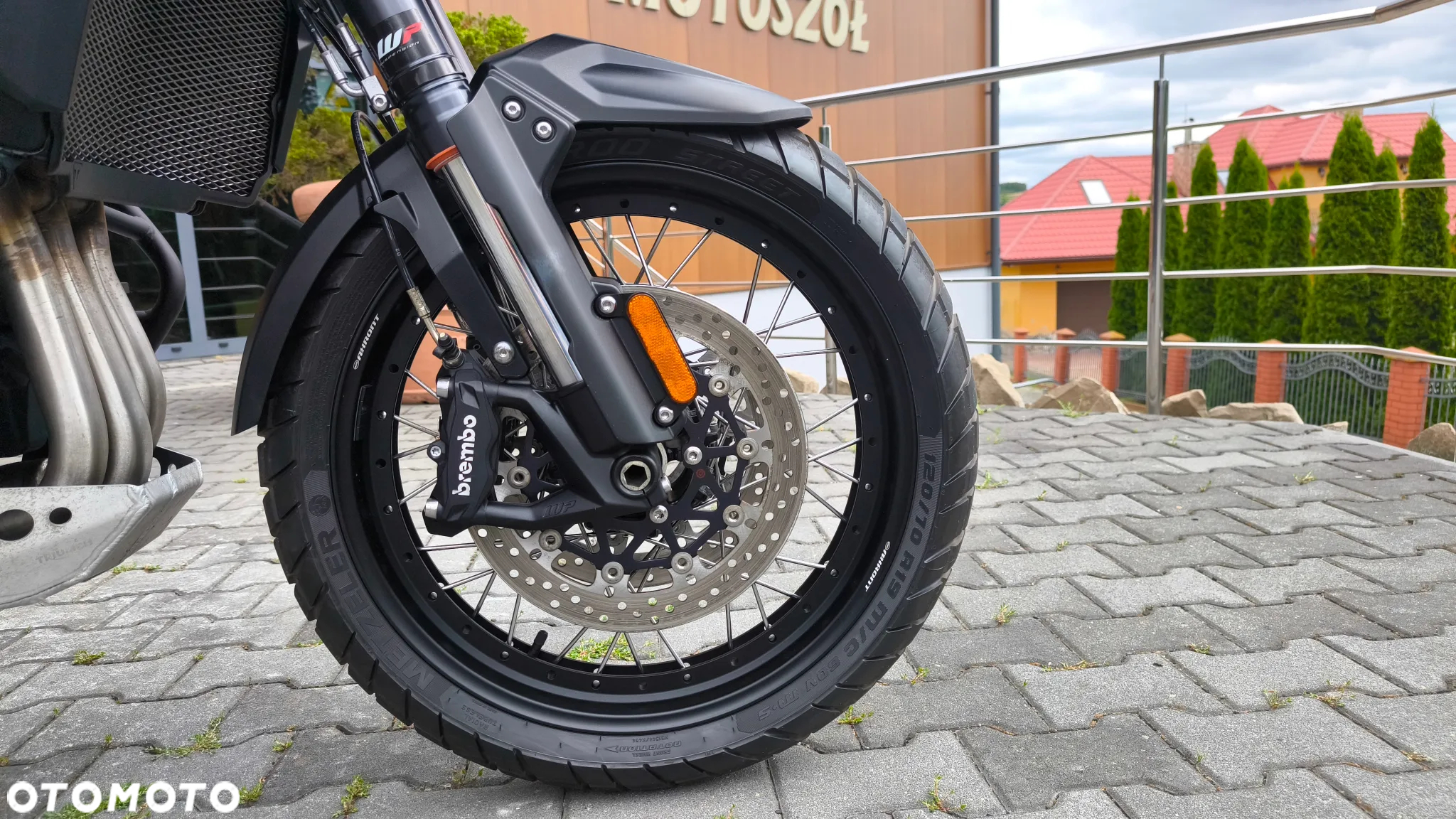 Triumph Tiger - 27