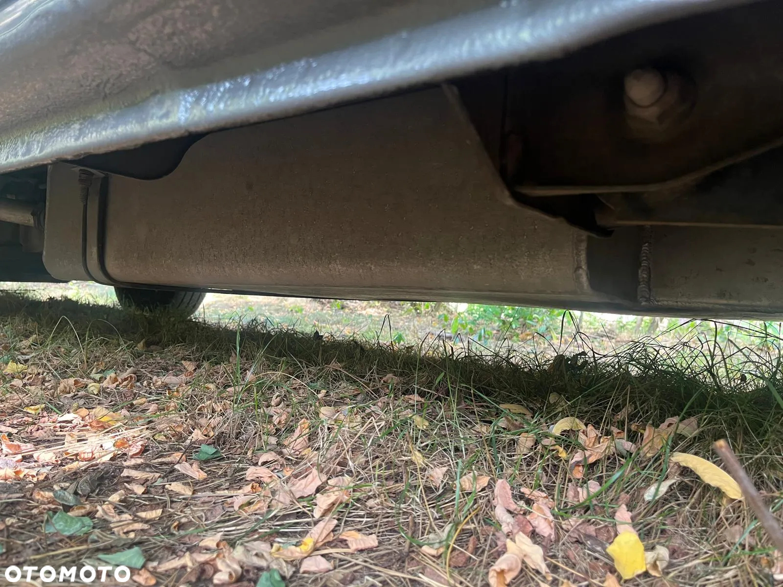 Renault Trafic - 5