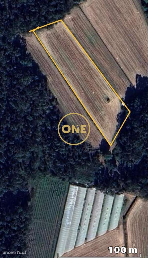 Terreno Agrícola em Laundoa - Grande imagem: 3/3