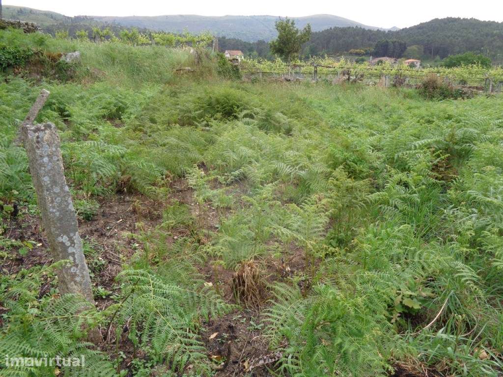 TERRENO URBANO - MELGAÇO - Grande imagem: 3/18