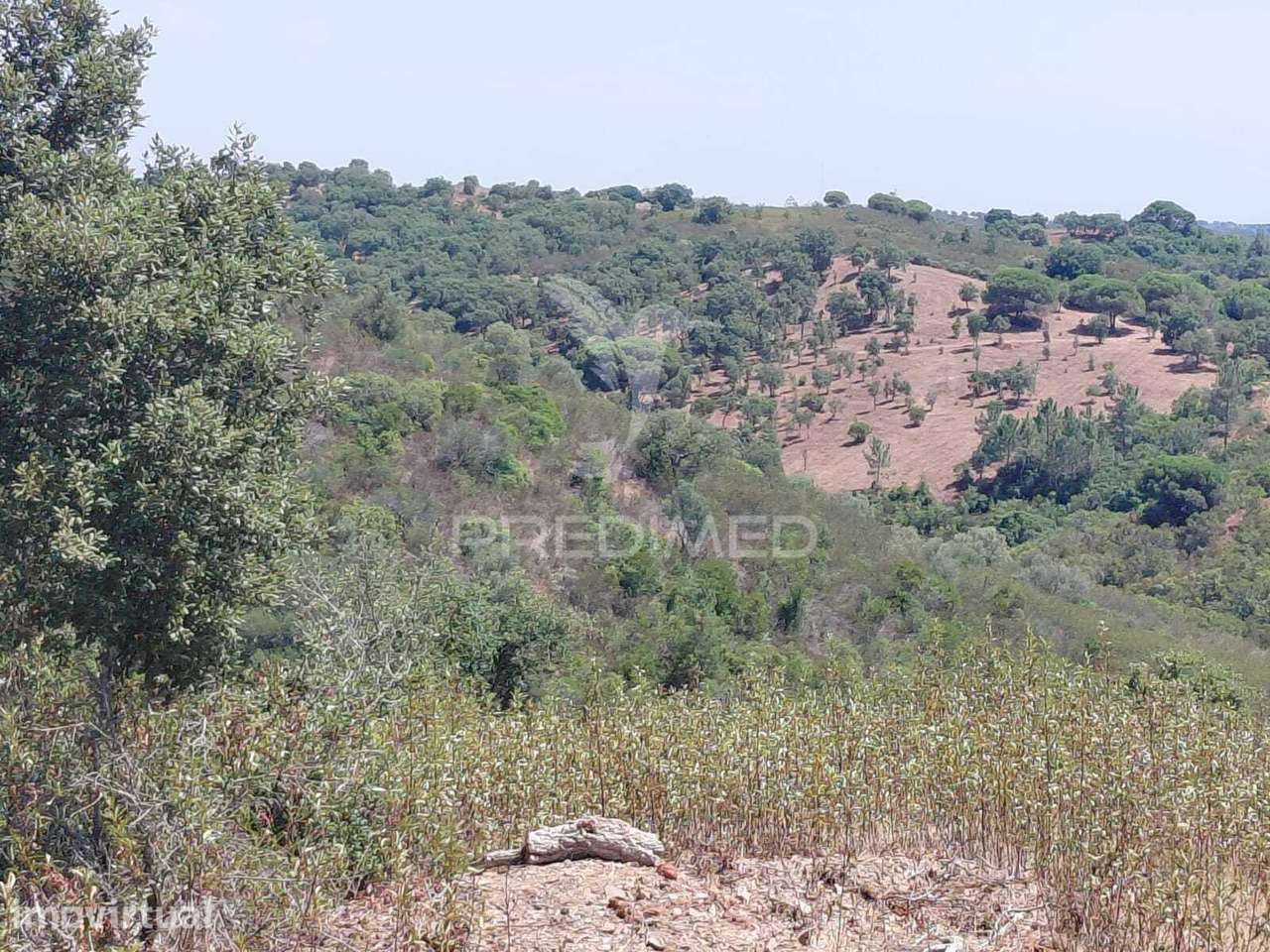 Herdade a 15 minutos da Lagoa de S.André. - Grande imagem: 2/7