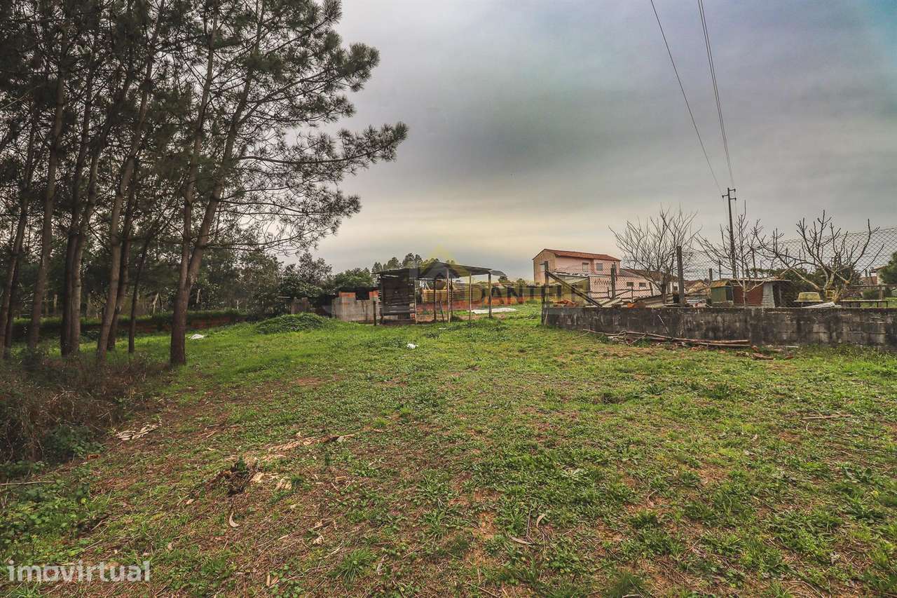 Terreno com 2.500m2 em AVANCA - Grande imagem: 2/27
