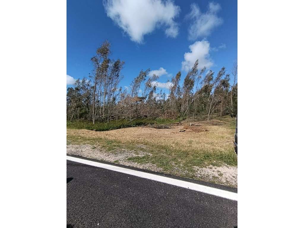 Terreno para construção - Grande imagem: 3/3