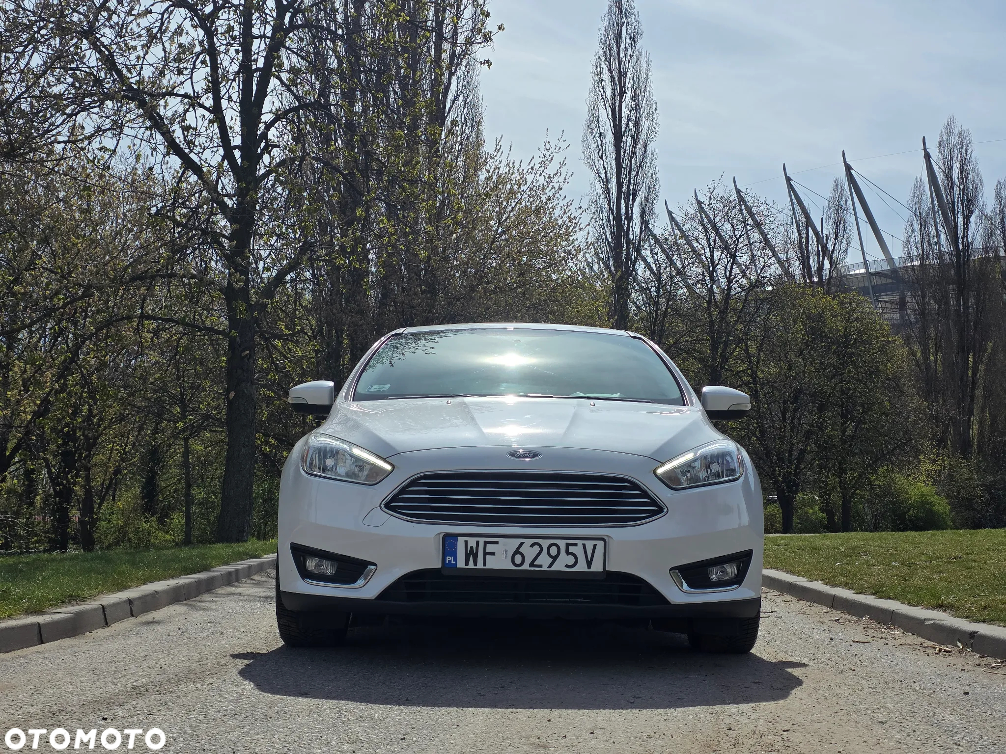 Ford Focus - 18