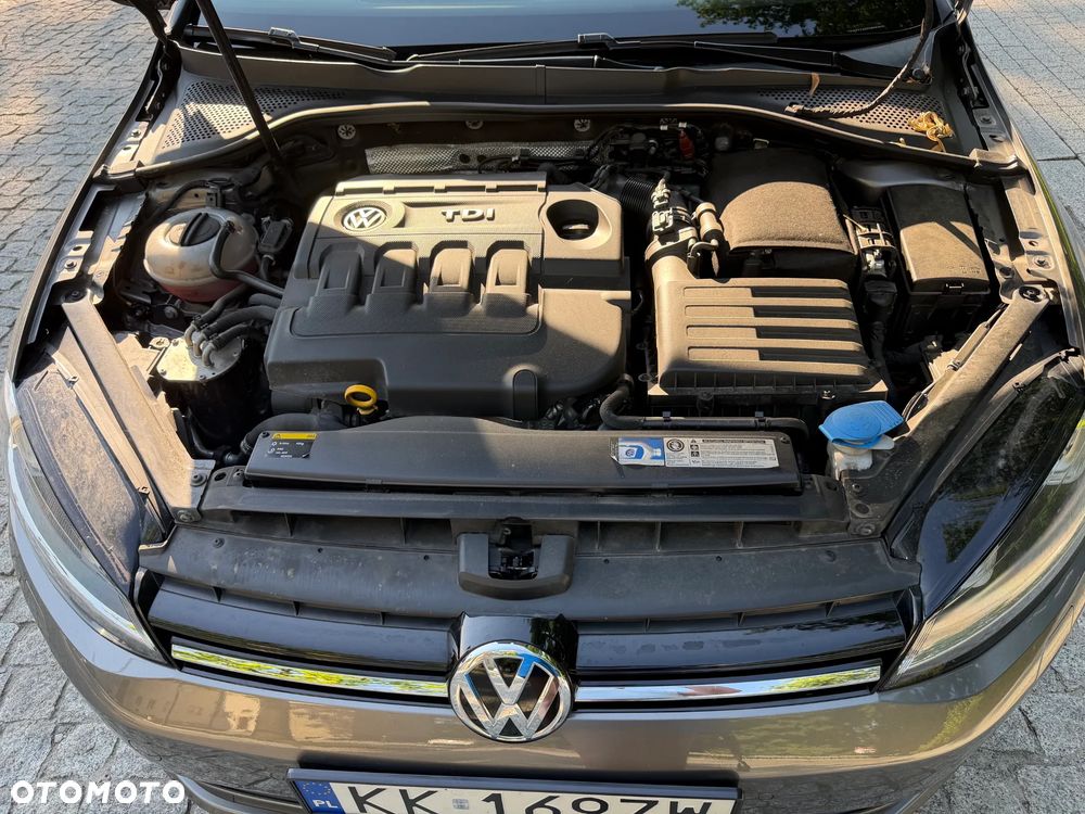 Volkswagen Golf 1.6 TDI 4Motion BlueMotion Technology Allstar - 7