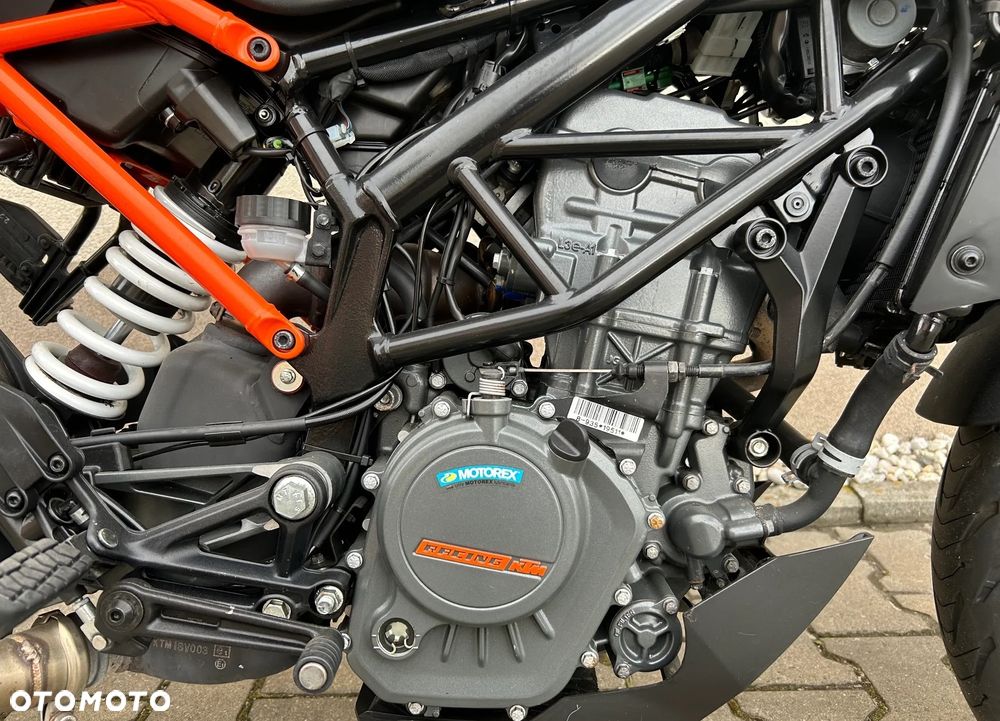 KTM Duke - 15
