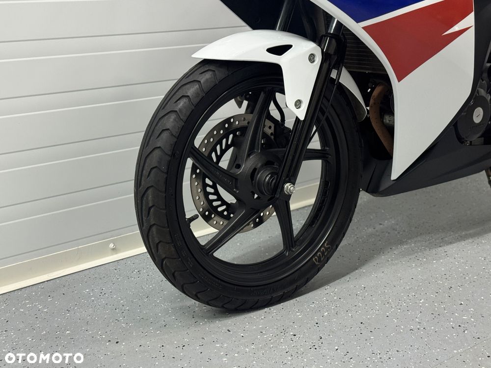 Honda CBR - 19