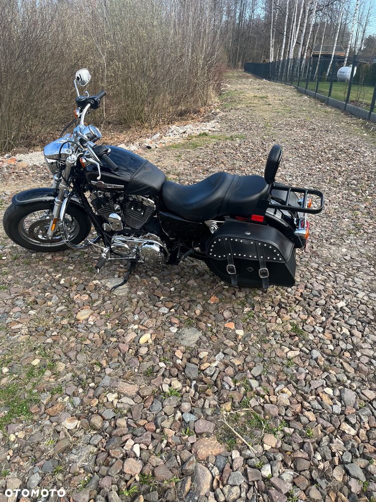 Harley-Davidson Sportster Custom 1200C - 2