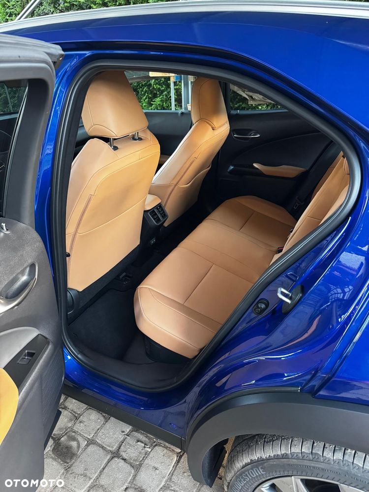 Lexus UX 300h F Sport Design - 10
