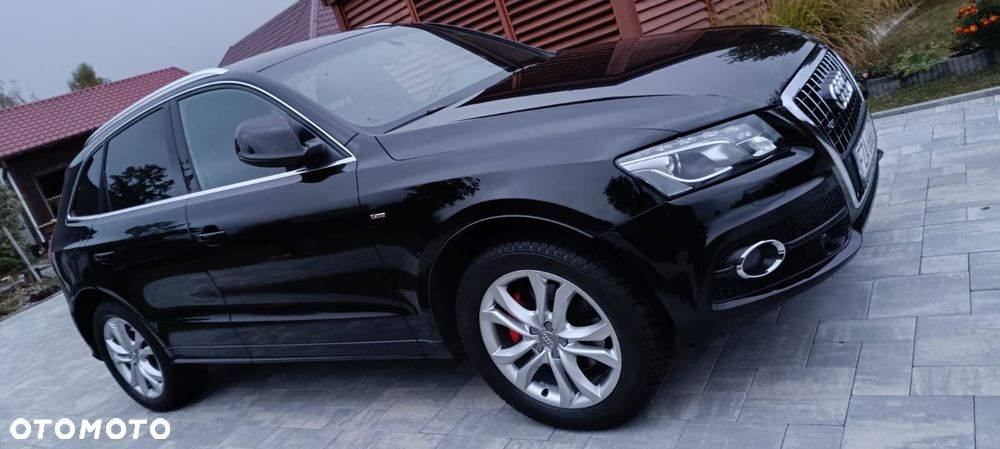 Audi Q5 2010 photo 2