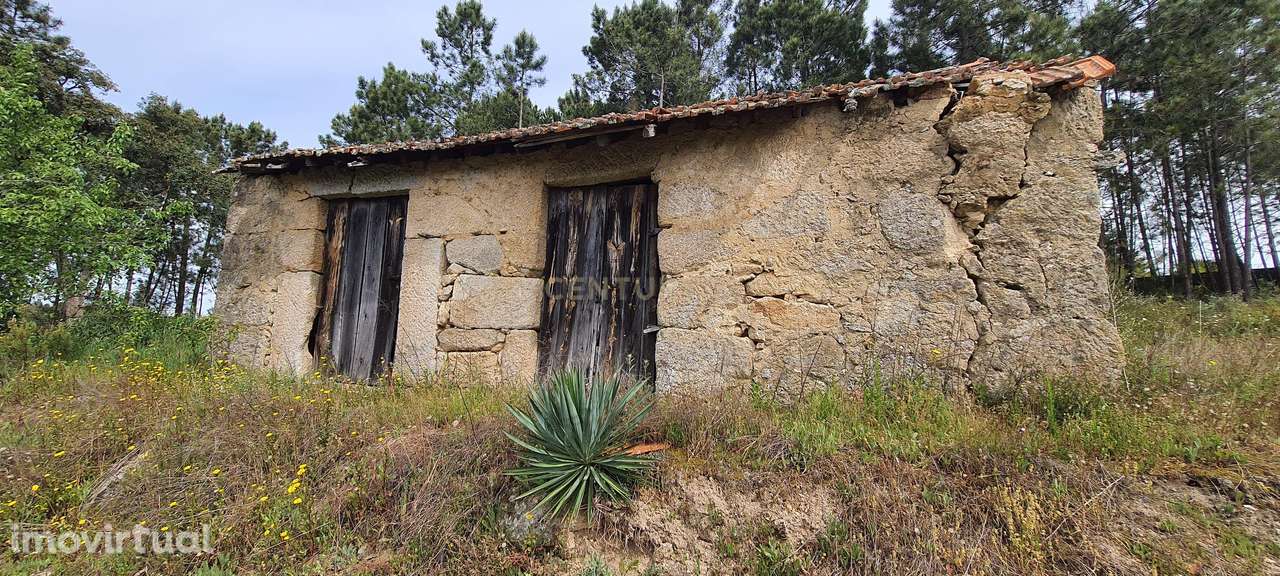 Terreno com área de 1 hectare e 200 metros - Grande imagem: 2/11