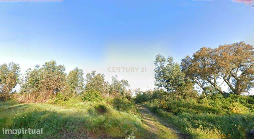 TERRENO RUSTICO 21 360M2 - SANTAREM - Grande imagem: 5/7
