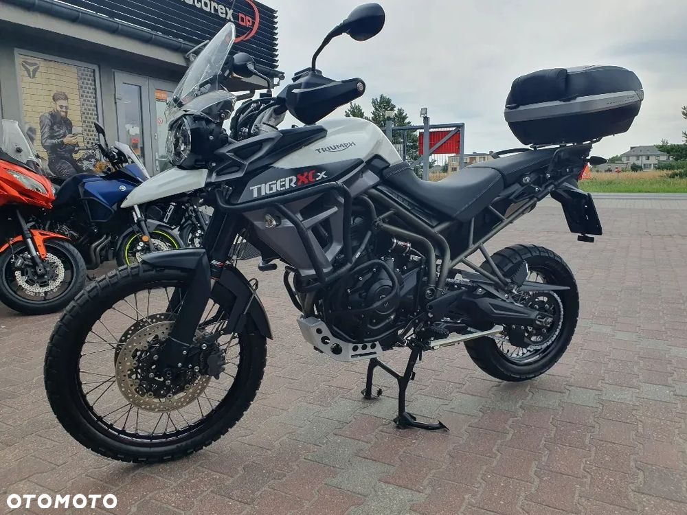 Triumph Tiger - 2